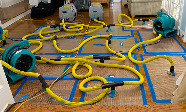 Professional Storm Water Damage Restoration technician working in Oakland, TN